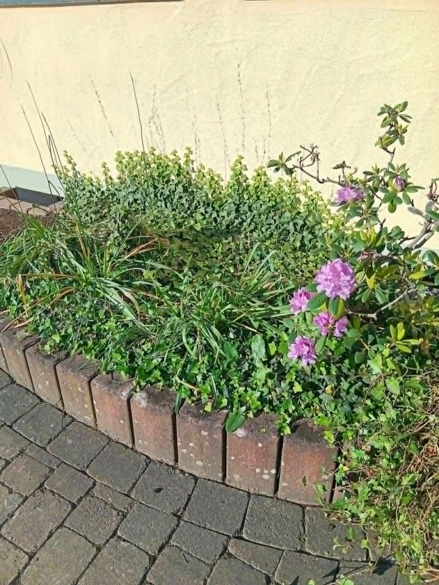Beetpflege – Vorher